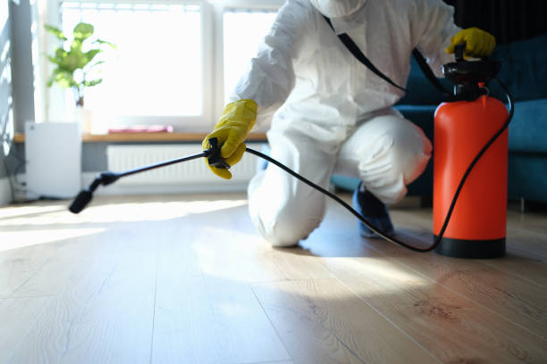 Reliable Odor Removal contractor in Splendora, TX by Trauma Clean Pros